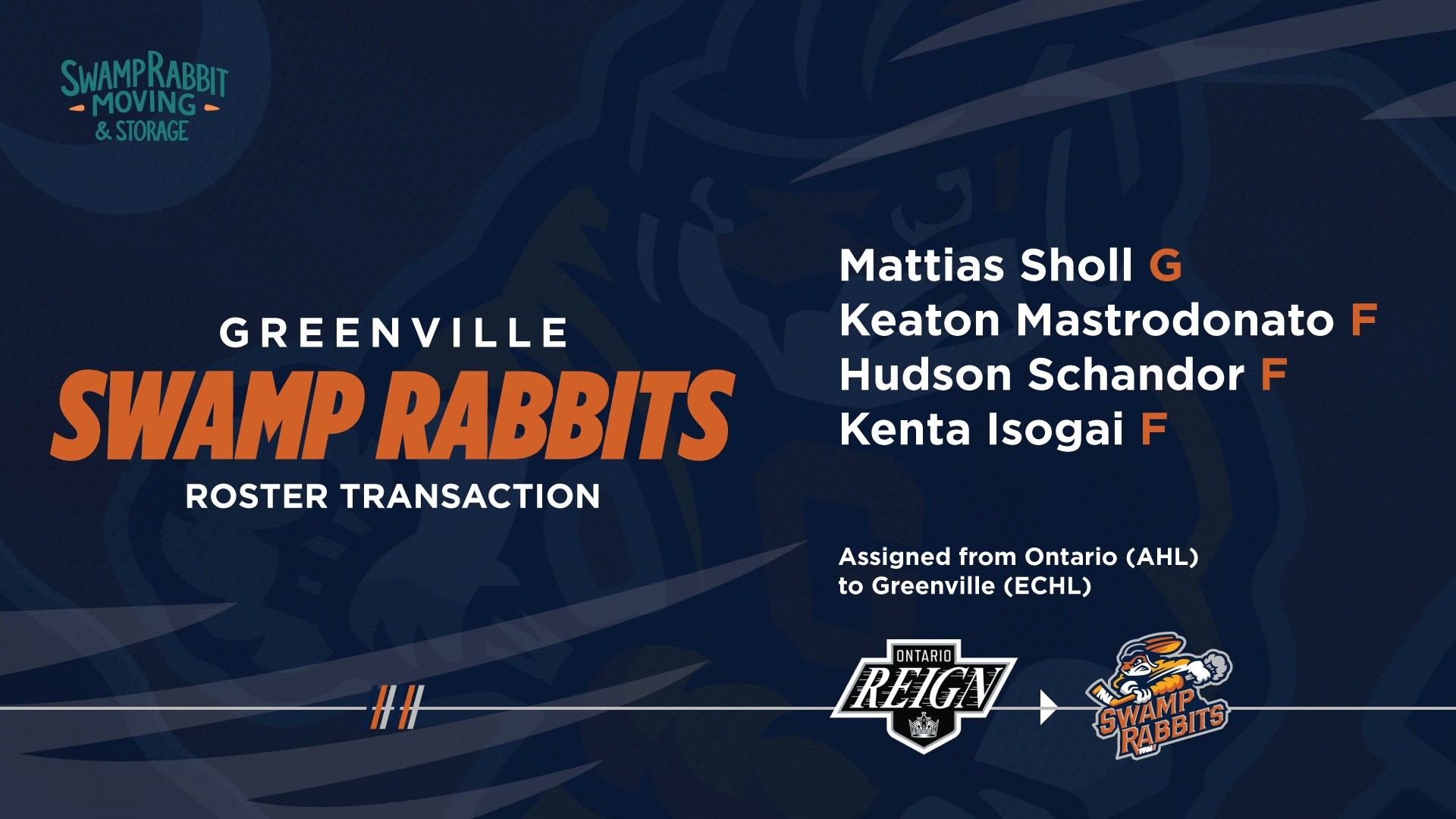 Greenville Swamp Rabbits