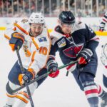 Greenville Swamp Rabbits