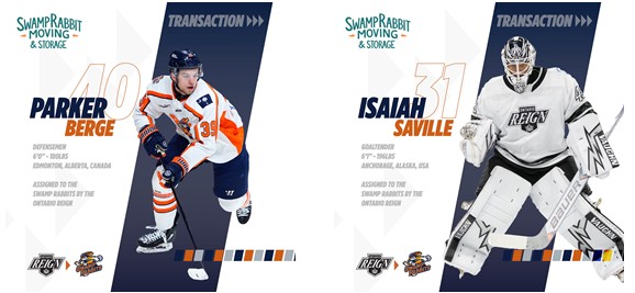 Greenville Swamp Rabbits