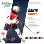 Greenvillee Swamp Rabbits