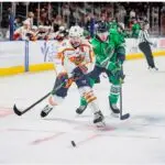 Greenville Swamp Rabbits