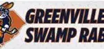 Greenville Swamp Rabbits
