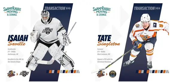 Greenville Swamp Rabbits