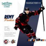 Swamp Rabbits