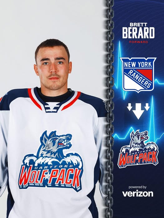 Wolf Pack Berard Down