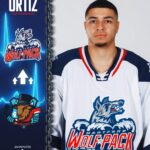 hartford wolf pack