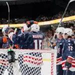 Greenville Swamp Rabbits