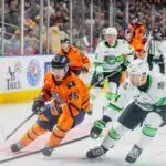 Greenville Swamp Rabbits