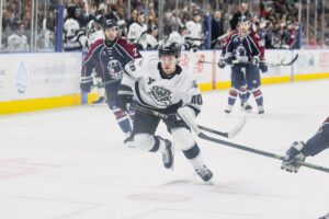 Greenville Swamp Rabbits