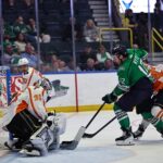 Greenville Swamp Rabbits
