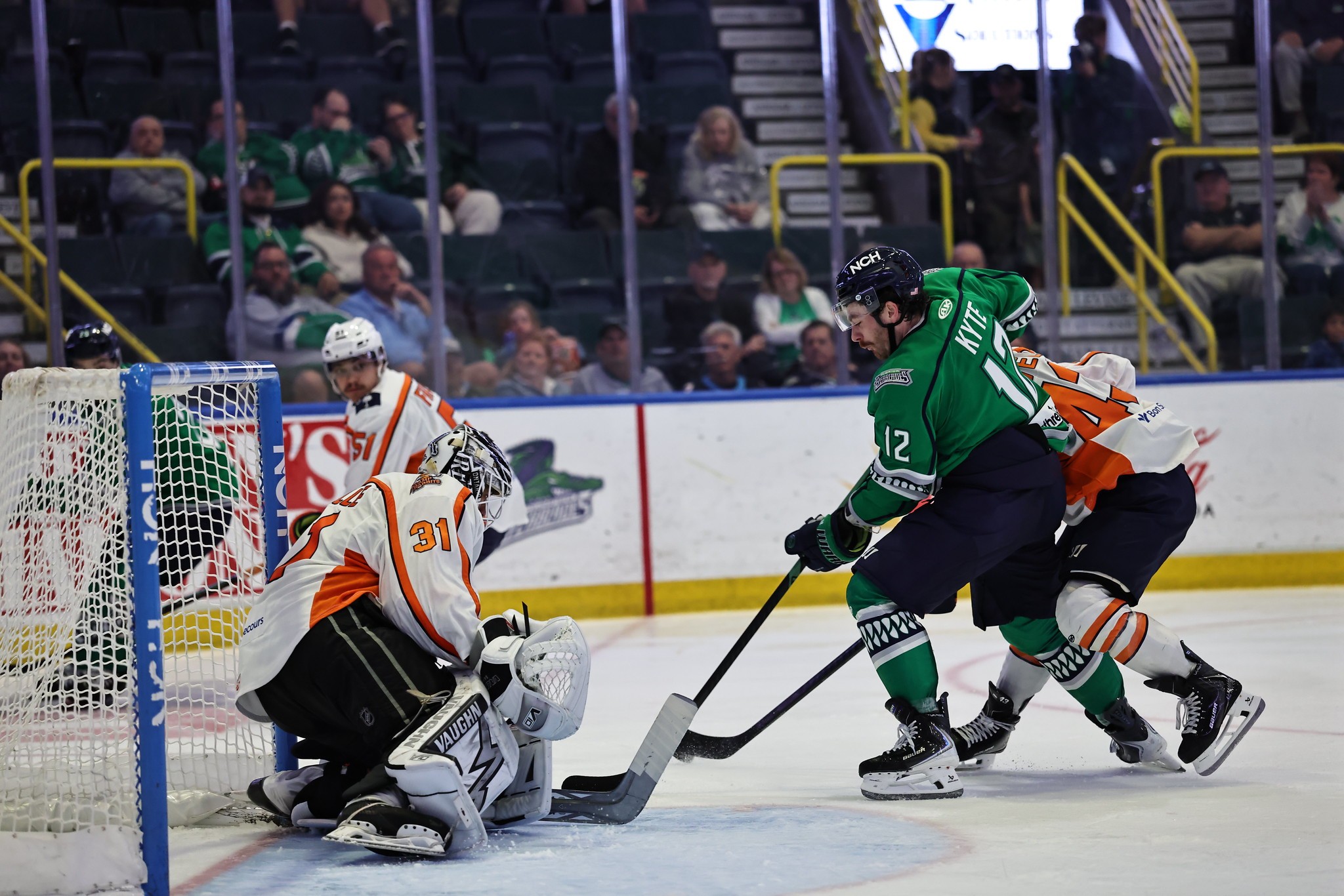 Greenville Swamp Rabbits
