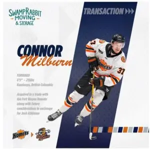 Greenville Swamp Rabbits
