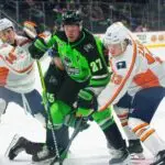 Greenville Swamp Rabbits