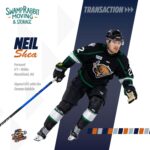 Greenville Swamp Rabbits