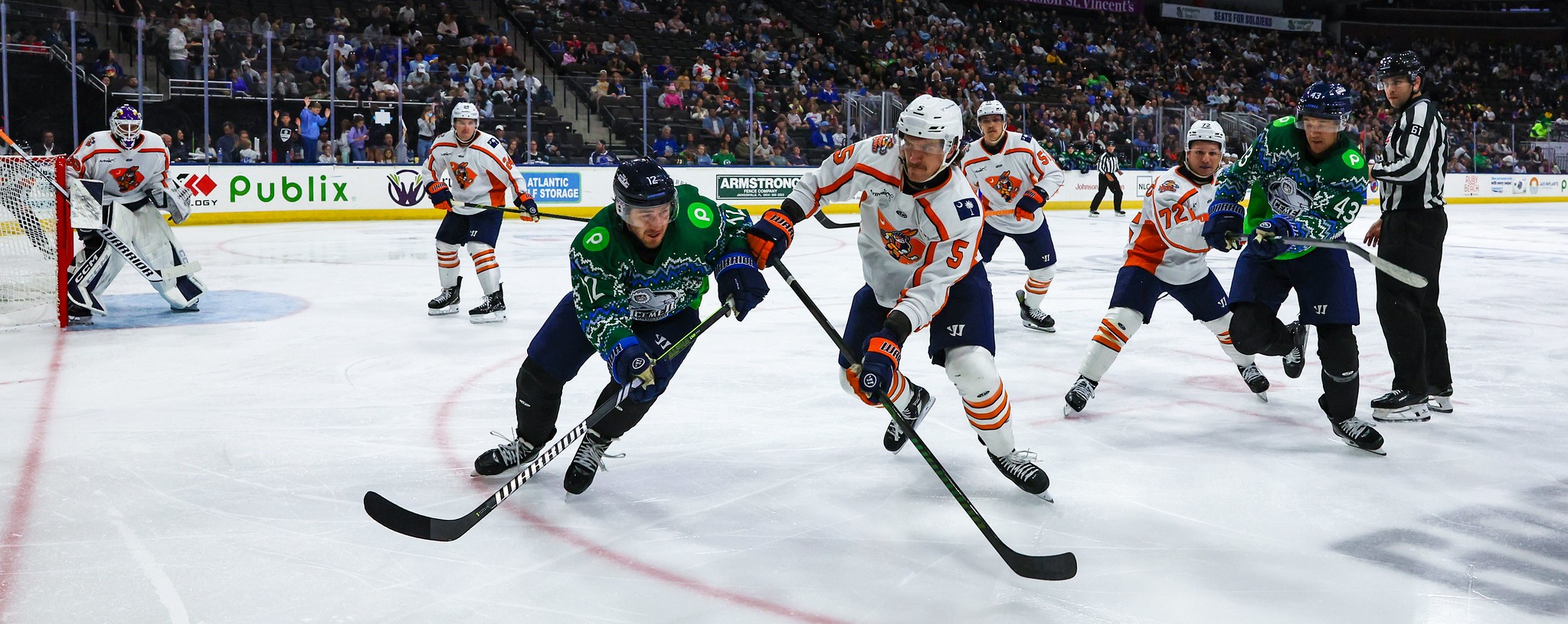 Greenville Swamp Rabbits