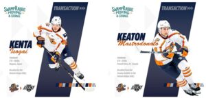 Greenville Swamp Rabbits