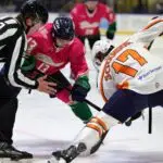 Greenville swamp rabbits