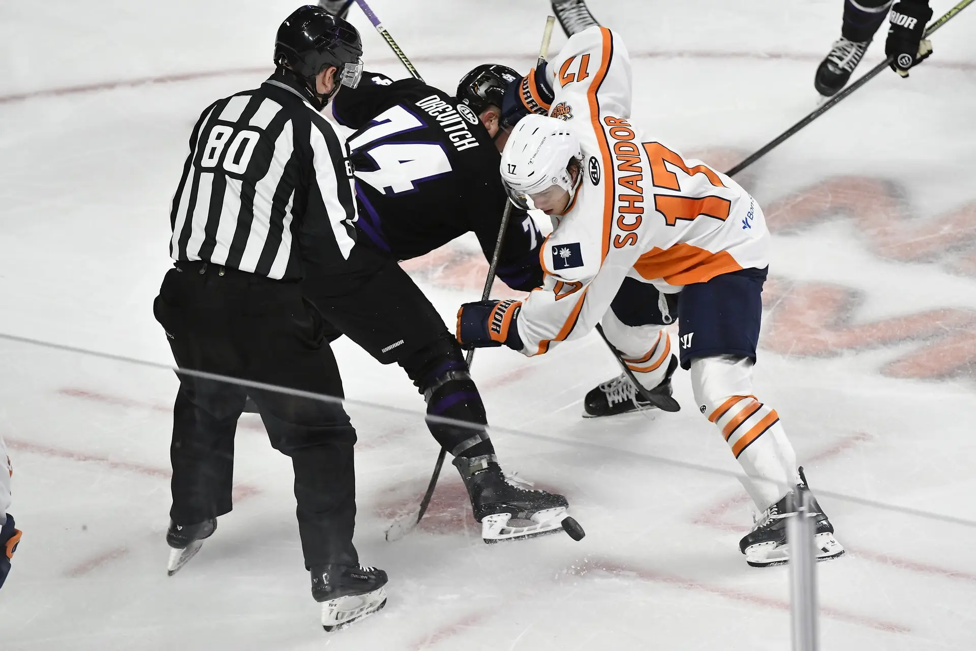 Greenville Swamp Rabbits