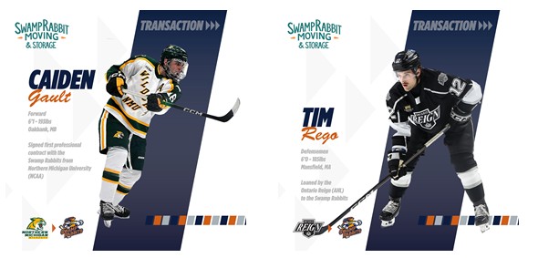 Greenville Swamp Rabbits