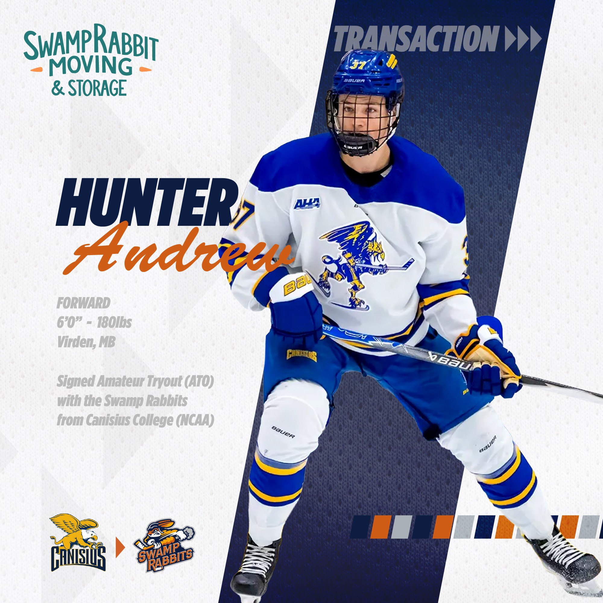 Greenville Swamp Rabbits