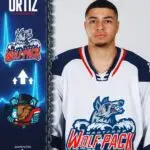Hartford Wolf Pack