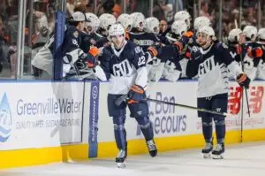 Greenville Swamp Rabbits