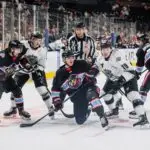 Greenville Swamp Rabbits