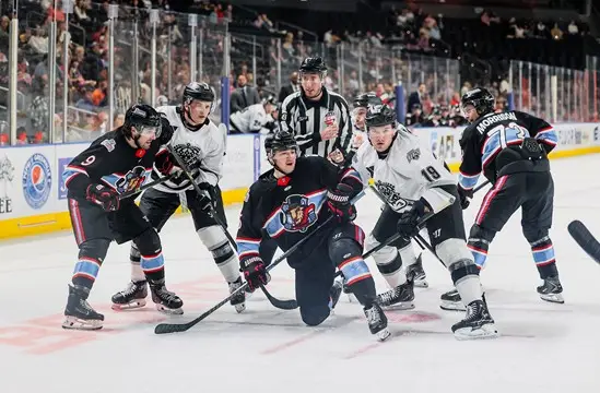 Greenville Swamp Rabbits