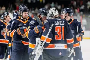 Greenville Swamp Rabbits
