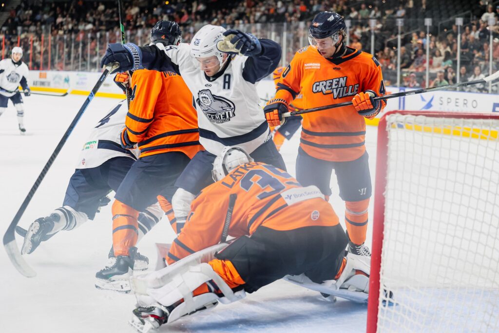 Greenville Swamp Rabbits