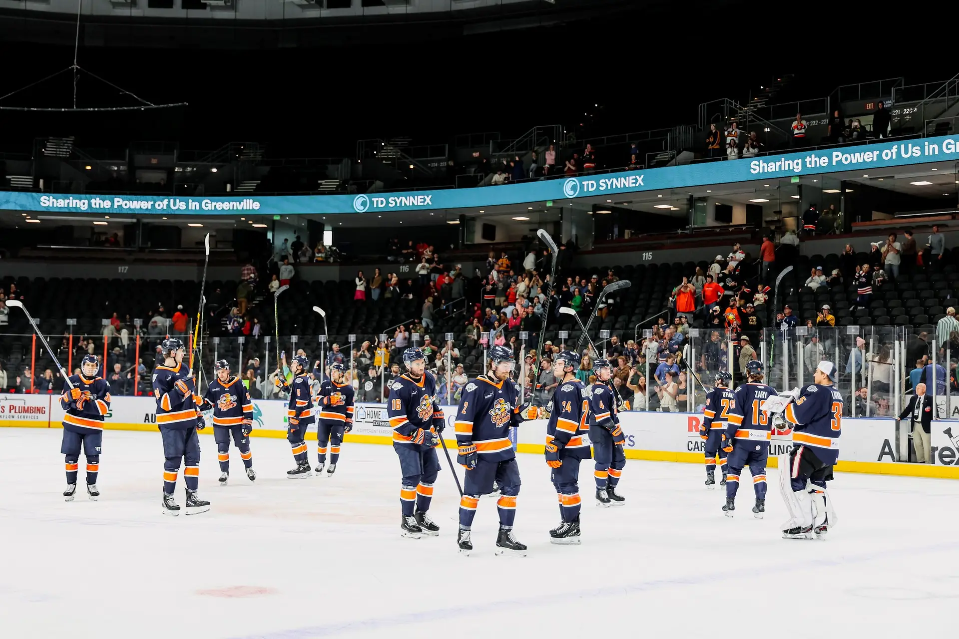 Greenville Swamp Rabbits
