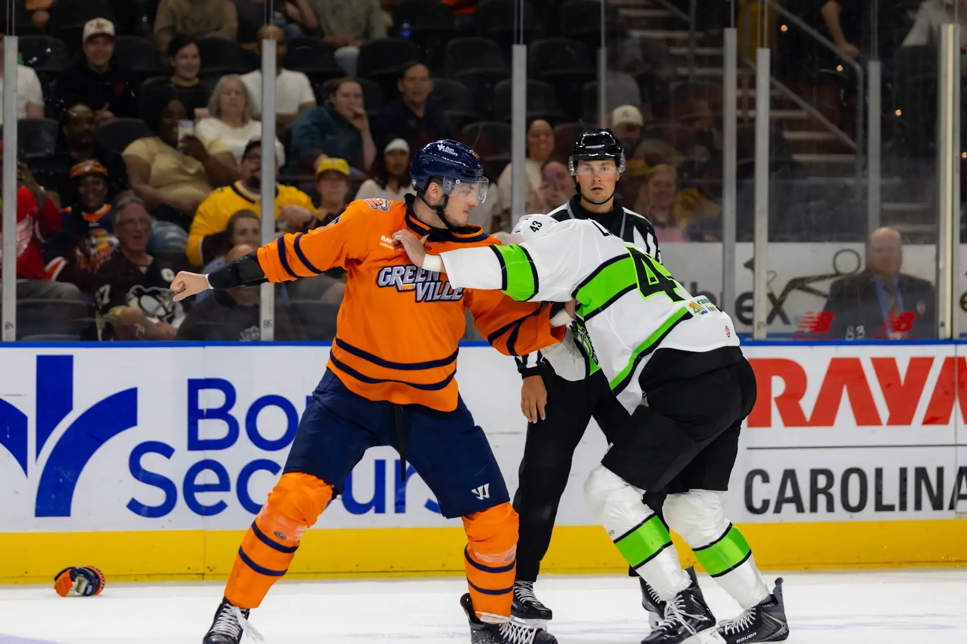 Greenville Swamp Rabbits