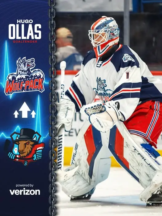 Hartford Wolf Pack