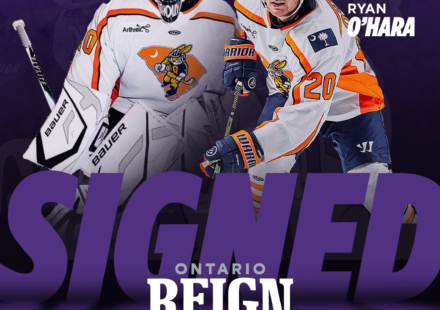 Greenville Swamp Rabbits