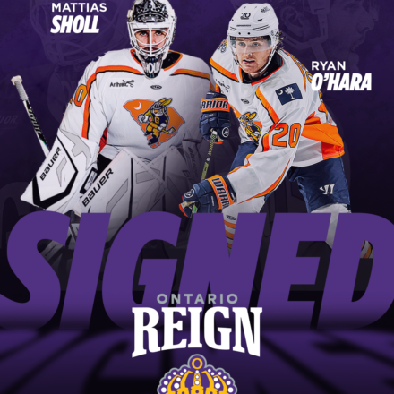 Greenville Swamp Rabbits