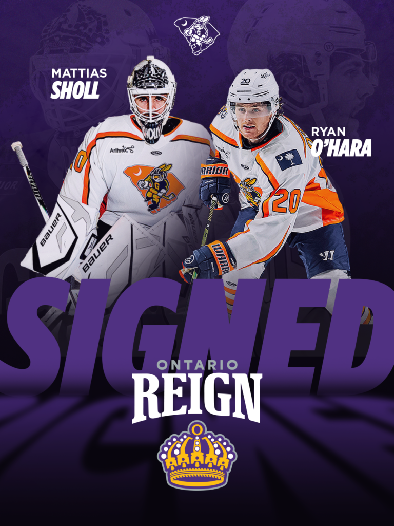 Greenville Swamp Rabbits
