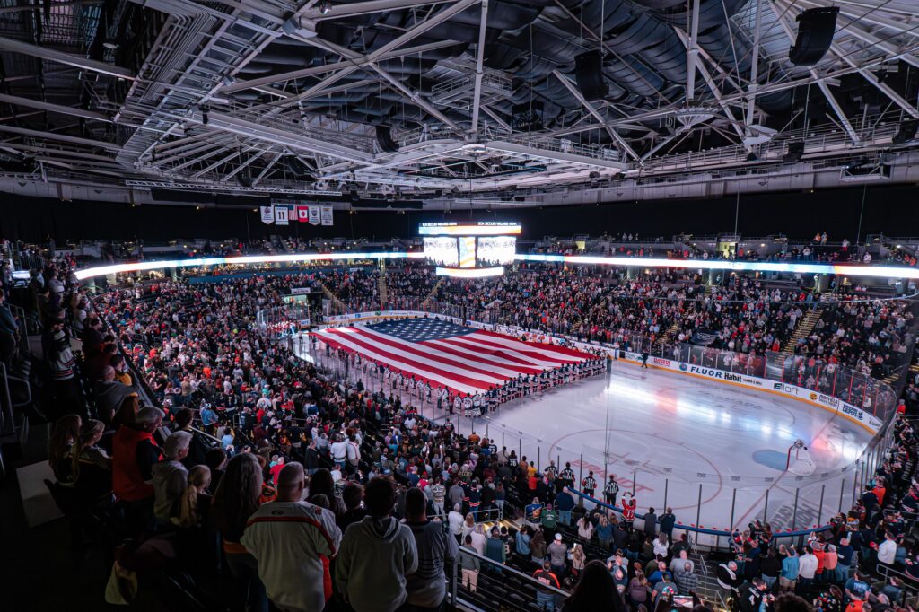 Greenville Swamp Rabbits