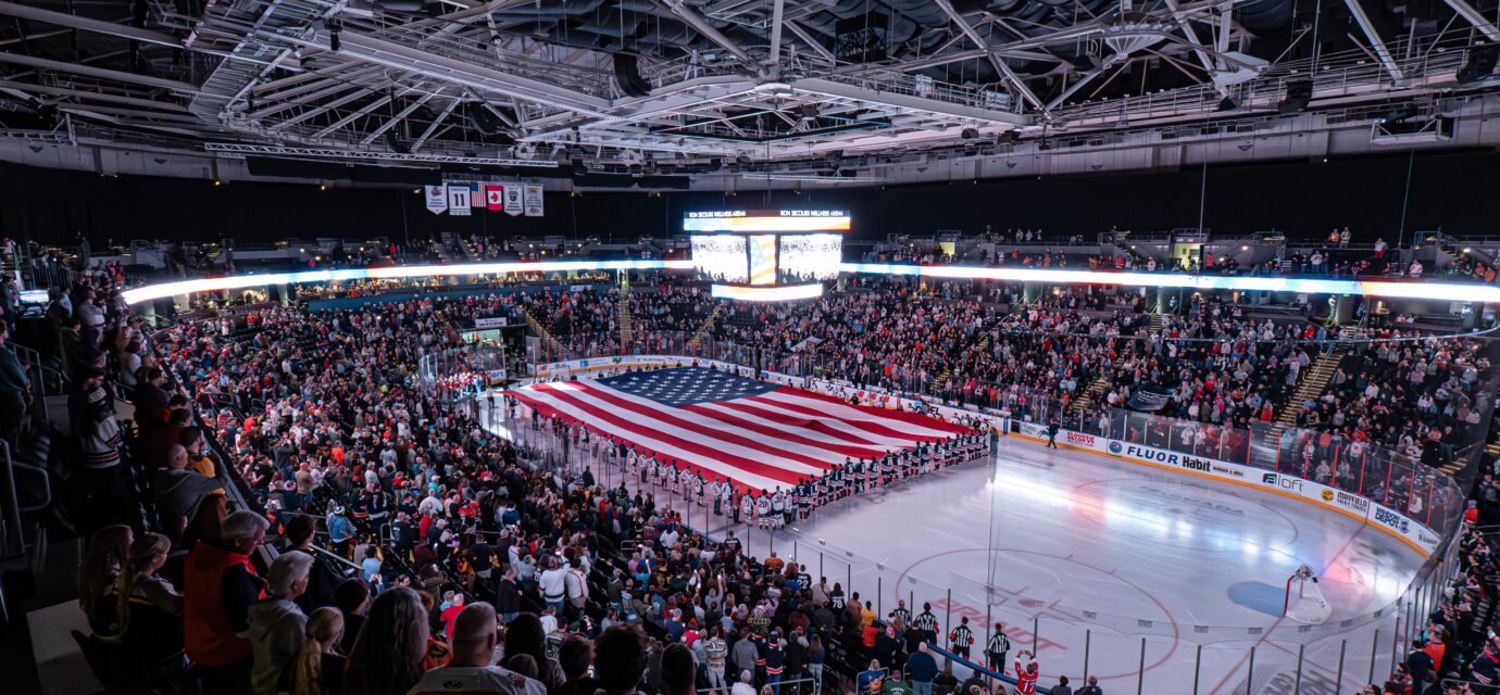Greenville Swamp Rabbits