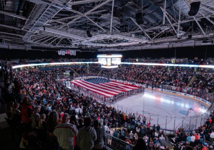 Greenville Swamp Rabbits