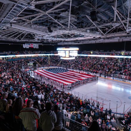 Greenville Swamp Rabbits
