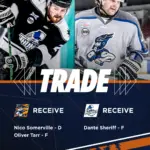 Greenville Swamp Rabbits