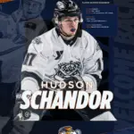 Greenville Swamp Rabbits