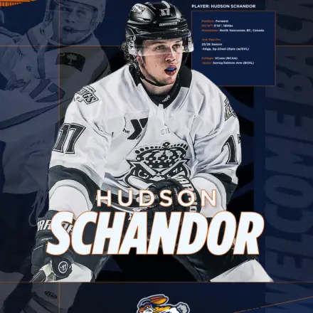 Greenville Swamp Rabbits