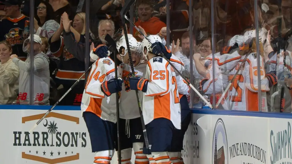 Greenville Swamp Rabbits