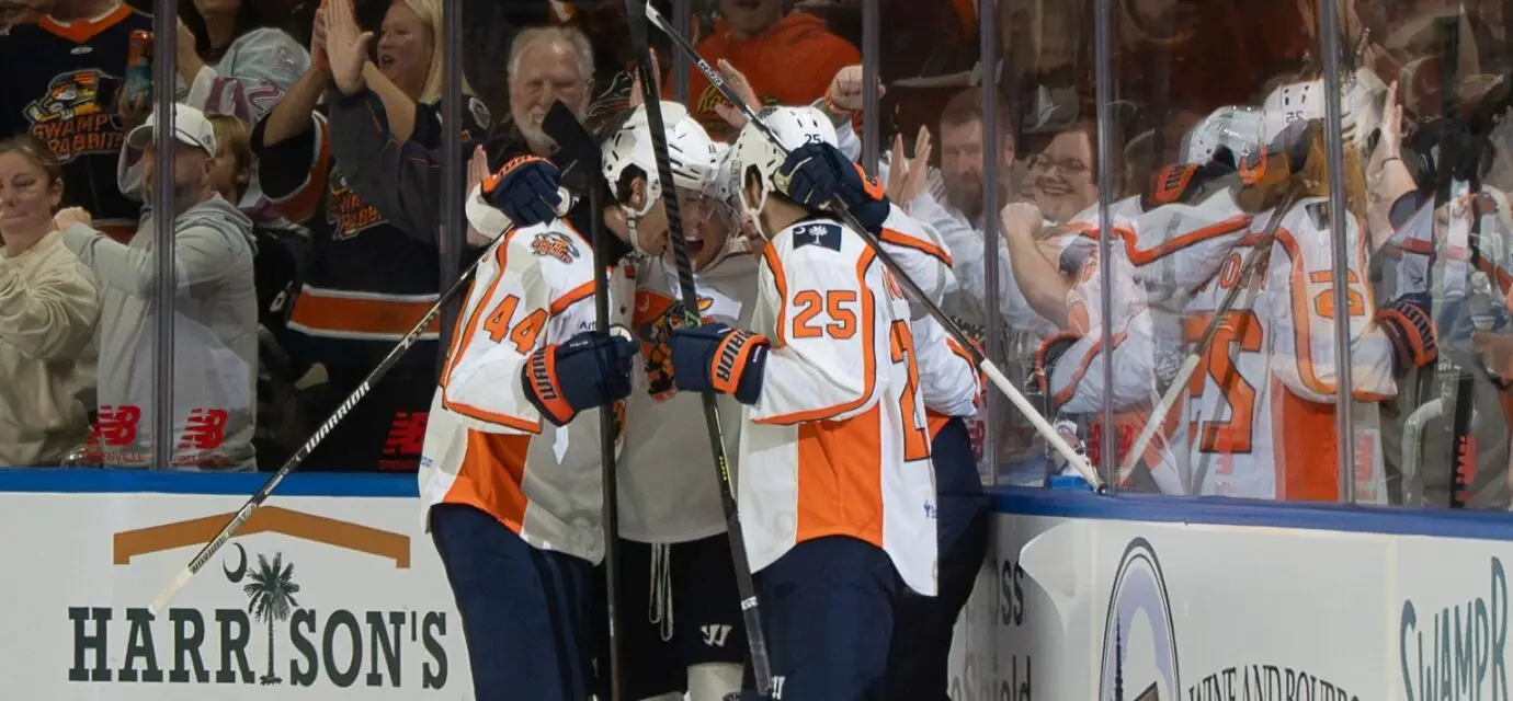 Greenville Swamp Rabbits
