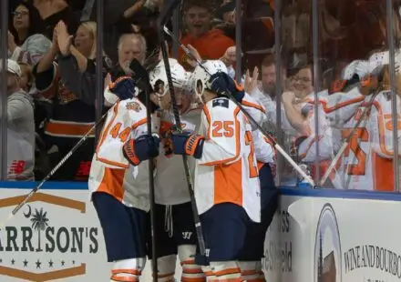 Greenville Swamp Rabbits