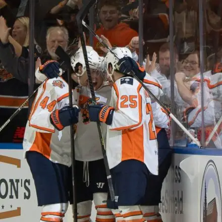 Greenville Swamp Rabbits