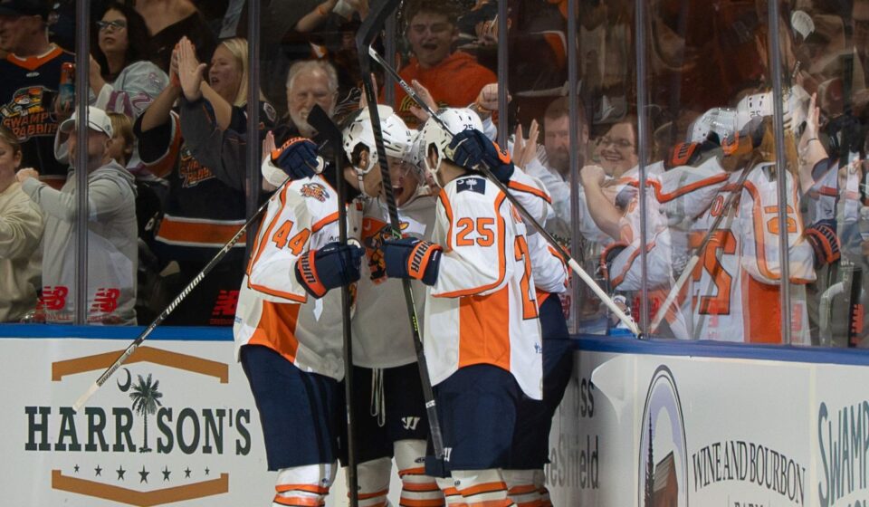 Greenville Swamp Rabbits
