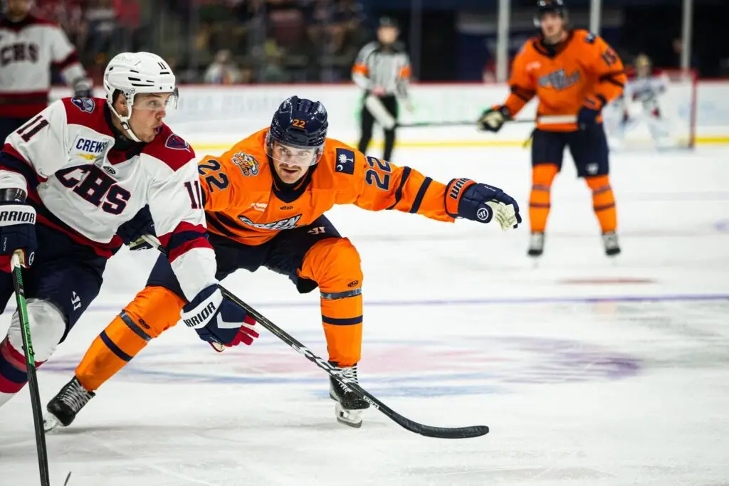 Greenville Swamp Rabbits