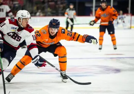 Greenville Swamp Rabbits